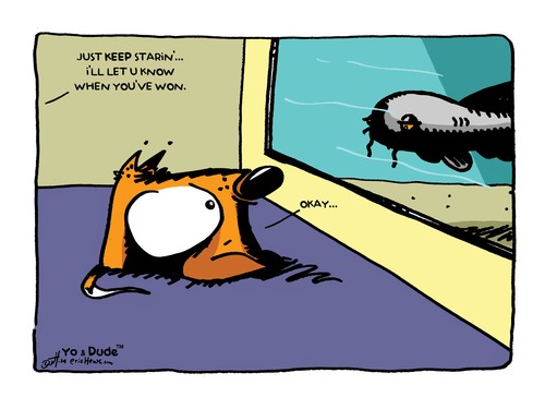 Cartoon: staring contest (medium) by ericHews tagged stare,contest,aquarium,fish,eye,staring,game,mean,diversion,alone