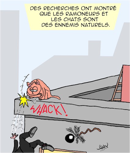 Cartoon: Ramoneurs (medium) by Karsten Schley tagged ramoneurs,chats,science,recherches,professions,animaux,ramoneurs,chats,science,recherches,professions,animaux