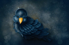 Cartoon: Bird (small) by alesza tagged bird digital painting illustration cute animal feather