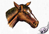 Cartoon: Pferd 2012 in Techni-Color (small) by swenson tagged pferd horse tier animal animals 2012