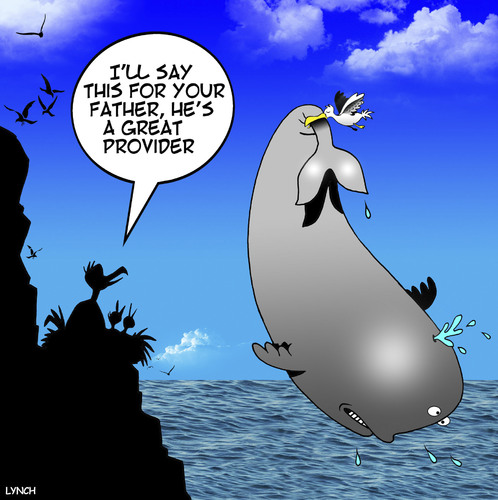 Cartoon: A good provider (medium) by toons tagged seagulls,whales,good,dad,fishing,food,family,dinner,provider,chicks,seagulls,whales,good,dad,fishing,food,family,dinner,provider,chicks