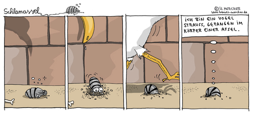 Cartoon: Schlamassel Nr 34 (medium) by H Mercker tagged assel,kellerassel,vogel,strauss,huhn,vergraben,schlamassel,kopf,sand,natur,tiere