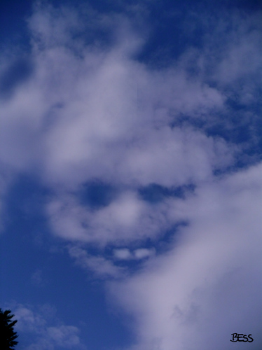Cartoon: cloud face 17 (medium) by besscartoon tagged wolken,himmel,gesicht,cloud,face,bess,besscartoon