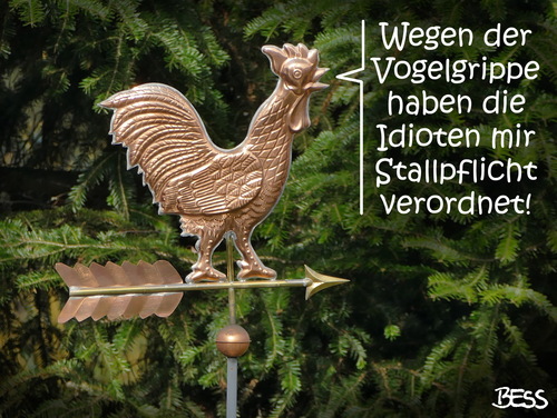 Cartoon: Vogelgrippe (medium) by besscartoon tagged vogelgrippe,geflügel,wetterhahn,stallpflicht,bess,besscartoon