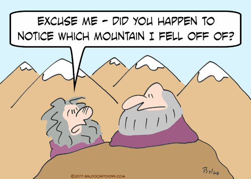 Cartoon: fell fall off mountain guru (medium) by rmay tagged fell,fall,off,mountain,guru