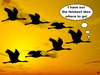 Cartoon: migrant birds (small) by thalasso tagged migrant,bird,migratory,navigation,satnav,way,finding,searching,lost