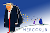 Cartoon: Mercosur (small) by leopold maurer tagged handelsabkommen,südamerika,eu,europa,vertrag,parlament,abstimmung,landwirtschaft,freihandelsabkommen,argentinien,brasilien,paraguay,uruguay,zustimmung,mehrheit,trump,usa,leopold,maurer,cartoon,karikatur