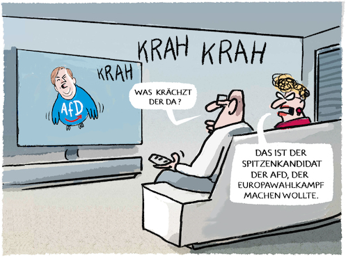 Cartoon: Abflug... (medium) by markus-grolik tagged afd,rn,rassemblement,national,rechtsextremisten,alternative,fuer,deutschland,krah,europawahlkampf,rechtsruck,frankreich,weidel,chrupalla,spitzenkandidat,rausschmiss,afd,rn,rassemblement,national,rechtsextremisten,alternative,fuer,deutschland,krah,europawahlkampf,rechtsruck,frankreich,weidel,chrupalla,spitzenkandidat,rausschmiss