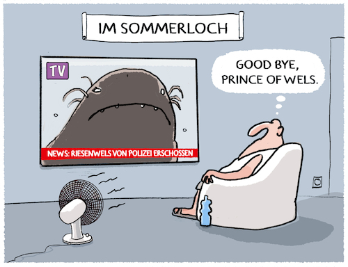 Sommerloch und Hitzewelle...