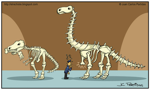 Cartoon: Mysterious (medium) by Juan Carlos Partidas tagged bones,skeleton,dinosaur,tyrannosaurus,rex,brontosaurus,museum,security,guard,shift,lost,paleontology