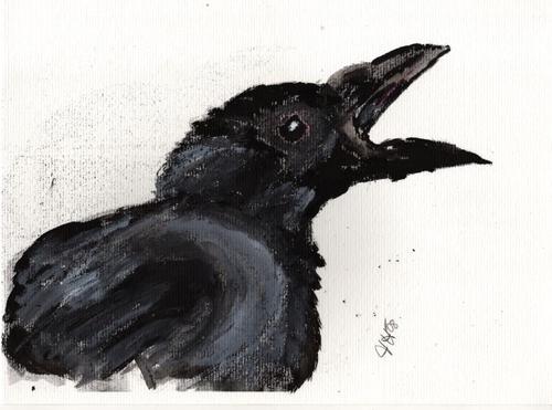 Cartoon: Ravenhead (medium) by Maninblack tagged raven,bird,black