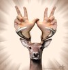 Cartoon: Who put deer antlers...? (small) by LuciD tagged lucido5 surrelism times art nature creation god zodiac love peace humor world fasion sport music real animals happy holy drawings cartoon pictures photo cool mony football life live sky flower light water high tags lol friend children sex xxx tv ue 3d