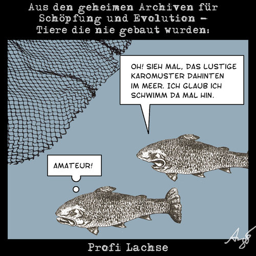 Cartoon: Aus den geheimen Archiven... (medium) by Anjo tagged lachs,profi,profilaxe,fisch,fischerei,netz,fischernetz,angeln,fang,amateur,lachs,profi,profilaxe,fischerei,fisch,fischernetz,angeln,amateur,fang