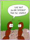Cartoon: I LIKE YOU (small) by Frank Zimmermann tagged like,you,love,ant,relation,cartoon,animal