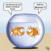 Cartoon: Fischgespräch (small) by Suley tagged philosophie,fisch,aquarium,wasser,luft,atmen,goldfisch,kugel,flosse,frage,meer,suley