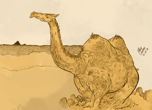 Cartoon: Camelo (medium) by alexdantas tagged camelo