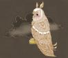 Cartoon: Owl (small) by alexdantas tagged owl,sky