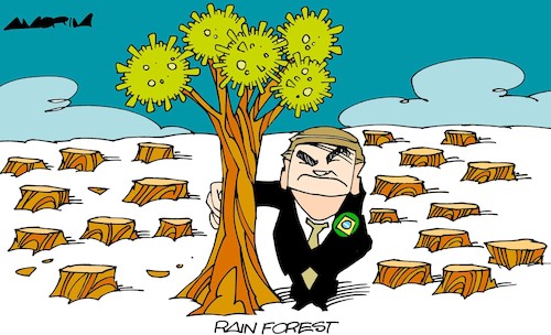 Cartoon: Bolsonaro rainforest (medium) by Amorim tagged bolsonaro,brazil,pandemic