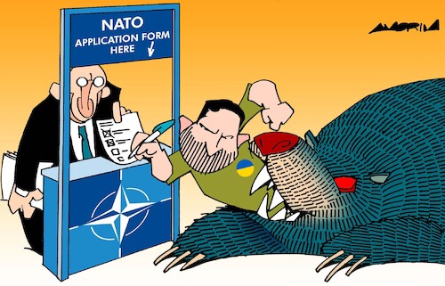 Cartoon: Joining NATO (medium) by Amorim tagged nato,ukraine,russia,zelenski,nato,ukraine,russia,zelenski
