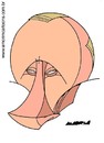 Cartoon: Vladimir Putin (small) by Amorim tagged vladimir,putin,amorim