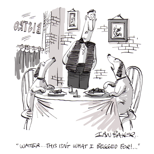 Cartoon: Begged for (medium) by Ian Baker tagged restaurant,dog,dogs,meal,food,waiter,begging,complaint,gag,cartoon,ian,baker,magazine,new,humanist