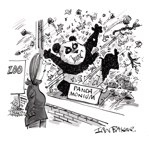Cartoon: Pandamonium (medium) by Ian Baker tagged magazine,gag,cartoon,ian,baker,humour,humor,comedy,zoo,widlife,panda,chaos,violence,woman,spectator,visitor,bear,trouble