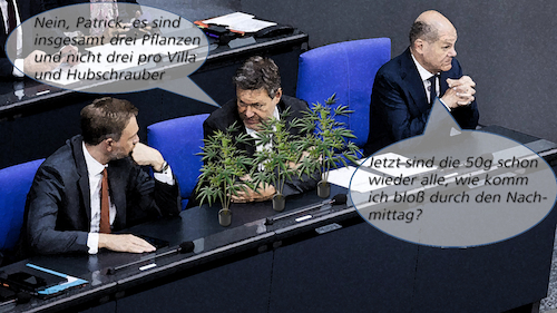 Cartoon: Cannabis-Freigabe (medium) by Bilito tagged ampel,drogen,habeck,lindner,scholz,cannabis,bundestag,regierung,freigabe,selbstversorgung,legalisierung,drogenmissbrauch,politiker,pflanzen