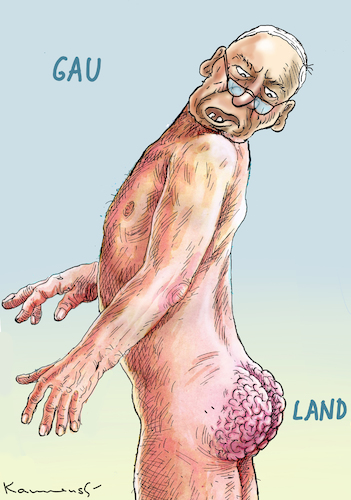 BEOBACHTUNGSFALL GAULAND