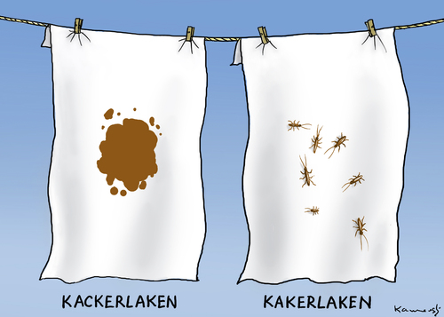 Cartoon: Laken (medium) by marian kamensky tagged kackerlaken,kakerlaken,bettlaken,bettlaken,kakerlaken,kackerlaken