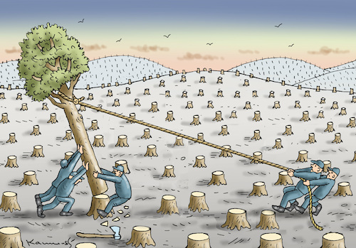 Cartoon: DER LETZTE BAUM (medium) by marian kamensky tagged weltklimabericht,umwelt,überflutungen,cop,2021,glasgow,weltklimabericht,umwelt,überflutungen,cop,2021,glasgow