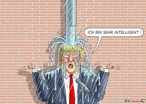 INTELLIGENTER TRUMP