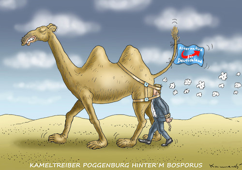 Cartoon: KAMELTREIBER POGGENBURG (medium) by marian kamensky tagged kameltreiber,poggenburg,afd,kameltreiber,poggenburg,afd