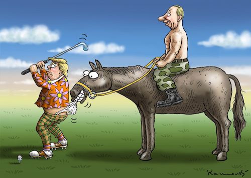 PUTINS WEDGIE HUMOR