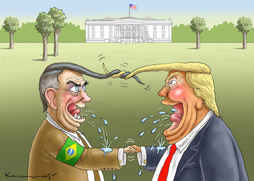 Cartoon: TROPEN TRUMP TRIFFT EIS TRUMP (medium) by marian kamensky tagged jair,bolsonaro,brasilien,präsidentenwahl,faschismus,nationalisms,rechtsradikal,rassistisch,trump,jair,bolsonaro,brasilien,präsidentenwahl,faschismus,nationalisms,rechtsradikal,rassistisch,trump