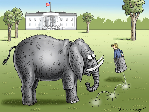 Cartoon: TRUMPEL TRUMP (medium) by marian kamensky tagged obama,trump,präsidentenwahlen,usa,baba,vanga,republikaner,demokraten,faschismus,obama,trump,präsidentenwahlen,usa,baba,vanga,republikaner,demokraten,faschismus