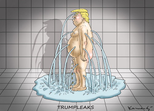 TRUMPLEAKS