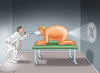 Cartoon: DR. ELON MUSK (small) by marian kamensky tagged trump,und,der,hurrikan,milton,us,wahlen,jeff,bezos,dreht,durch,the,washington,post,musk,tesla,project,2025