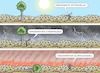 Cartoon: HOLZFÄLLER IN NOT (small) by marian kamensky tagged holzfäller,in,not,klimawandel,hitzewelle,starkregen