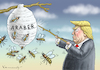 Cartoon: HORNISSENEXPERTE TRUMP (small) by marian kamensky tagged obama trump präsidentenwahlen usa baba vanga republikaner inauguration demokraten fbi james comey katar wikileaks faschismus