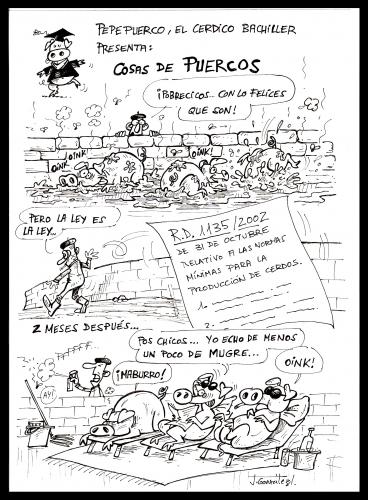 Cartoon: COSAS DE PUERCOS (medium) by PEPE GONZALEZ tagged animals,cartoon,draw,dibujo,spain,veterinary,veterinaria,cerdo,pig