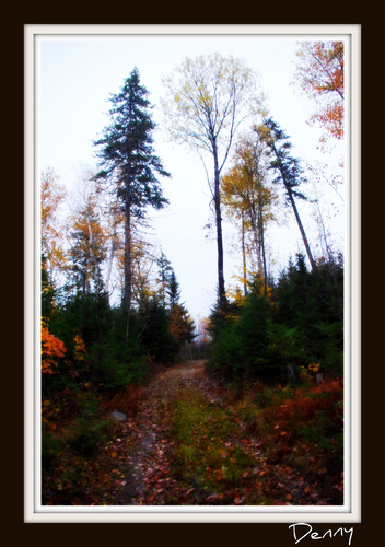 Cartoon: The Lake Road (medium) by Krinisty tagged fall,leaves,trees,lake,road,dirt,photography,krinisty,art