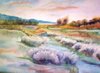 Cartoon: Marshy Bog (small) by Krinisty tagged scenic,scenery,marsh,bog,water,sky,colors,colorful,trees,shrubs,swamp,pastel,painting,oil