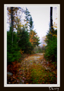 Cartoon: The Lake road 2 (small) by Krinisty tagged fall,lake,trees,leaves,road,krinisty,art,photography