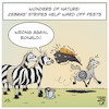 Cartoon: Bugs and Stripes (small) by Timo Essner tagged nature biology horses zebras stripes insects bugs pests ward protection mosquitoes horsefly horseflies botfly botflies camouflage cartoon timo essner