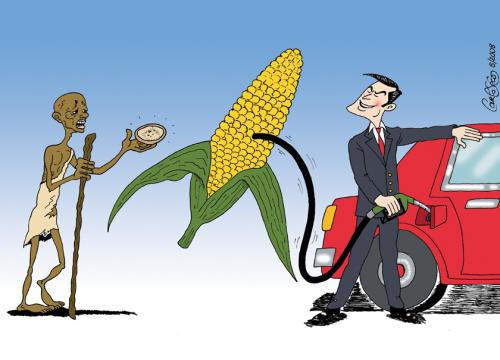 Cartoon: Food Crisis (medium) by carloseco tagged food,crisis,oil