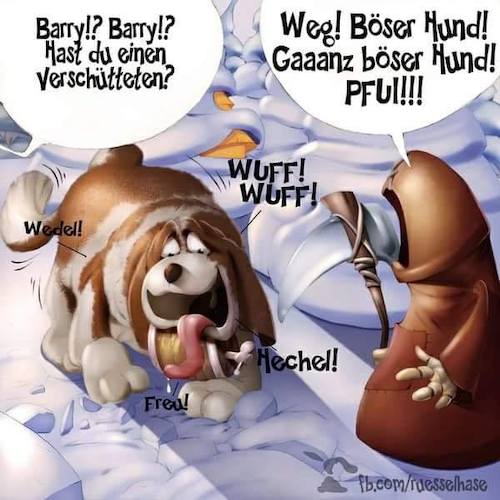 Cartoon: Lawine (medium) by Rüsselhase tagged lawinenhund,funnydeath