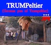 Cartoon: TRUMPeltier meme (small) by Schimmelpelz-pilz tagged meme,trampeltier,trumpeltier,republican,elephant,donald,trump,president,usa,united,states,of,america,criminal,freak,right,winged,neonazi,nazi