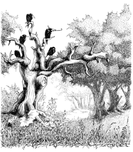 Cartoon: Rabenbaum 2 (medium) by puvo tagged clown,wald,wood,tree,baum,raven,crow,rabe,krähe