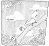 Cartoon: Im Park. (small) by puvo tagged park taube eichhörnchen sommer dove squirrel summer
