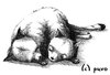 Cartoon: Siamesische Katzen. (small) by puvo tagged siam,siamese,siamesich,katze,cat